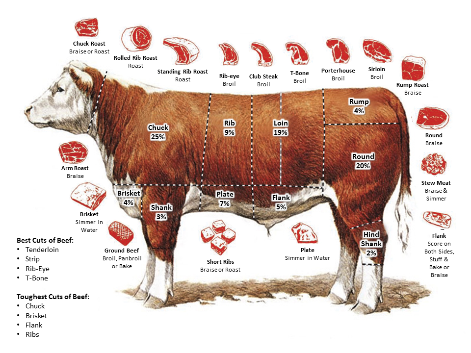 Beef Cuts Chart Filet Mignon