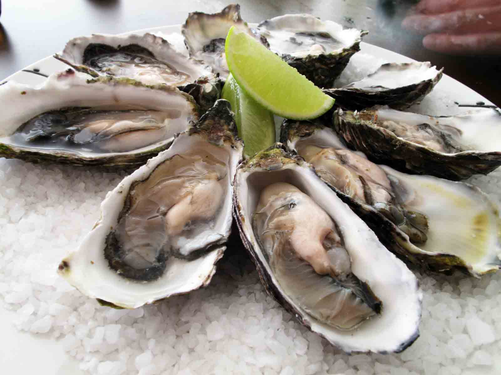 Pacific_oysters_royalty free
